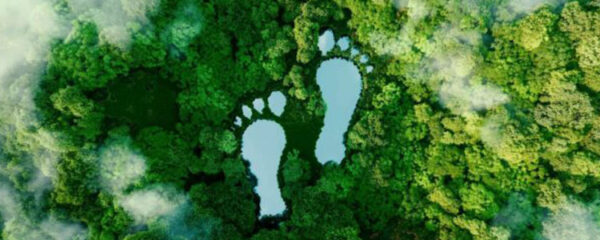 Carbon Footprint